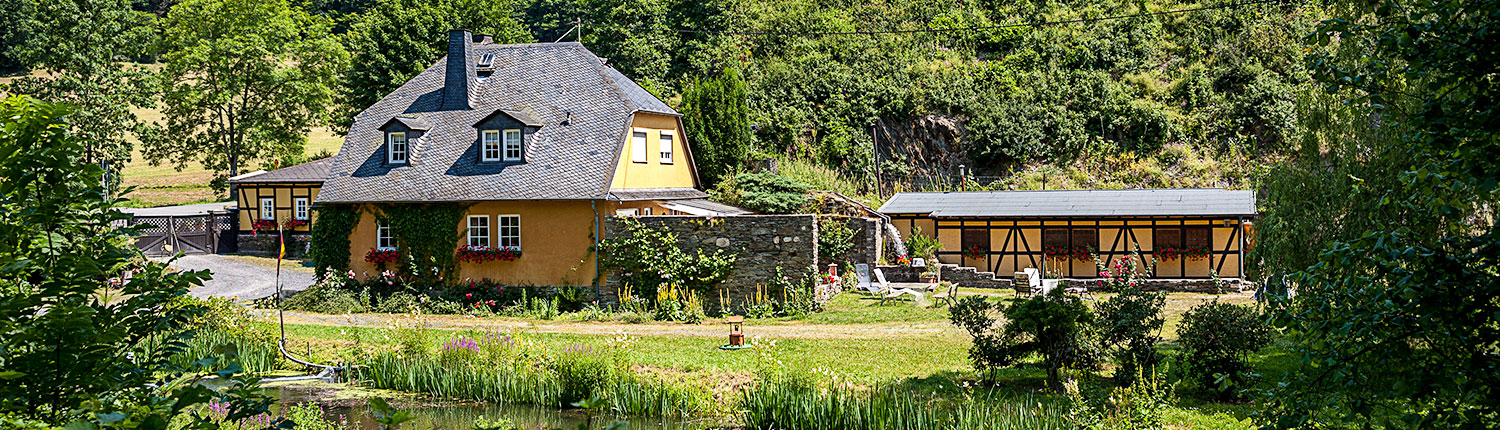 Laukenmühle-Sommer