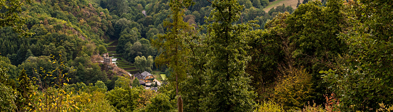 Laukenmühle-top