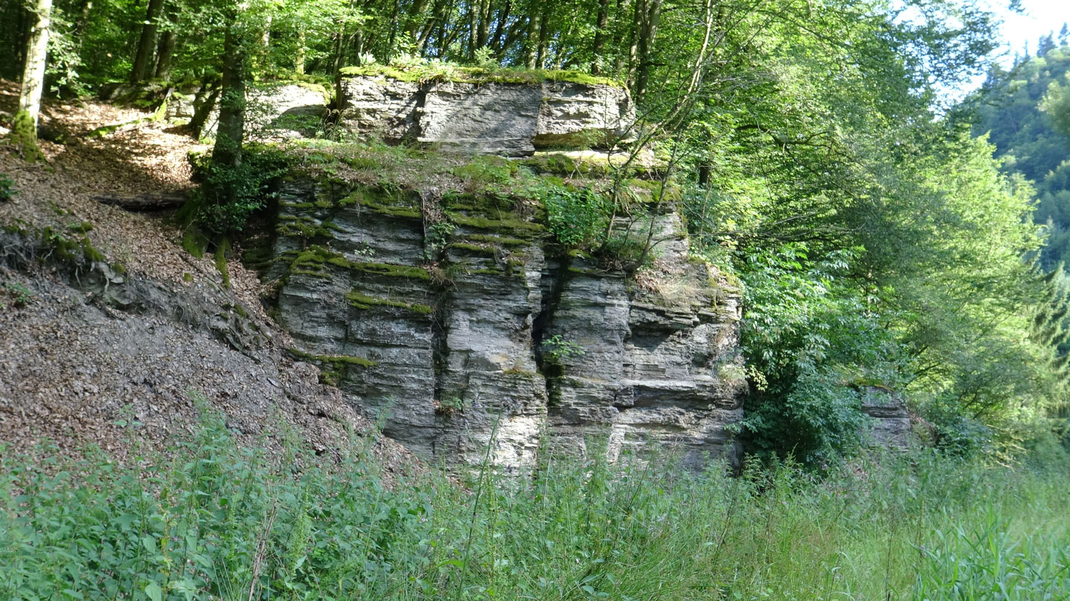 Meerjungfrau-Dreispaltigkeit