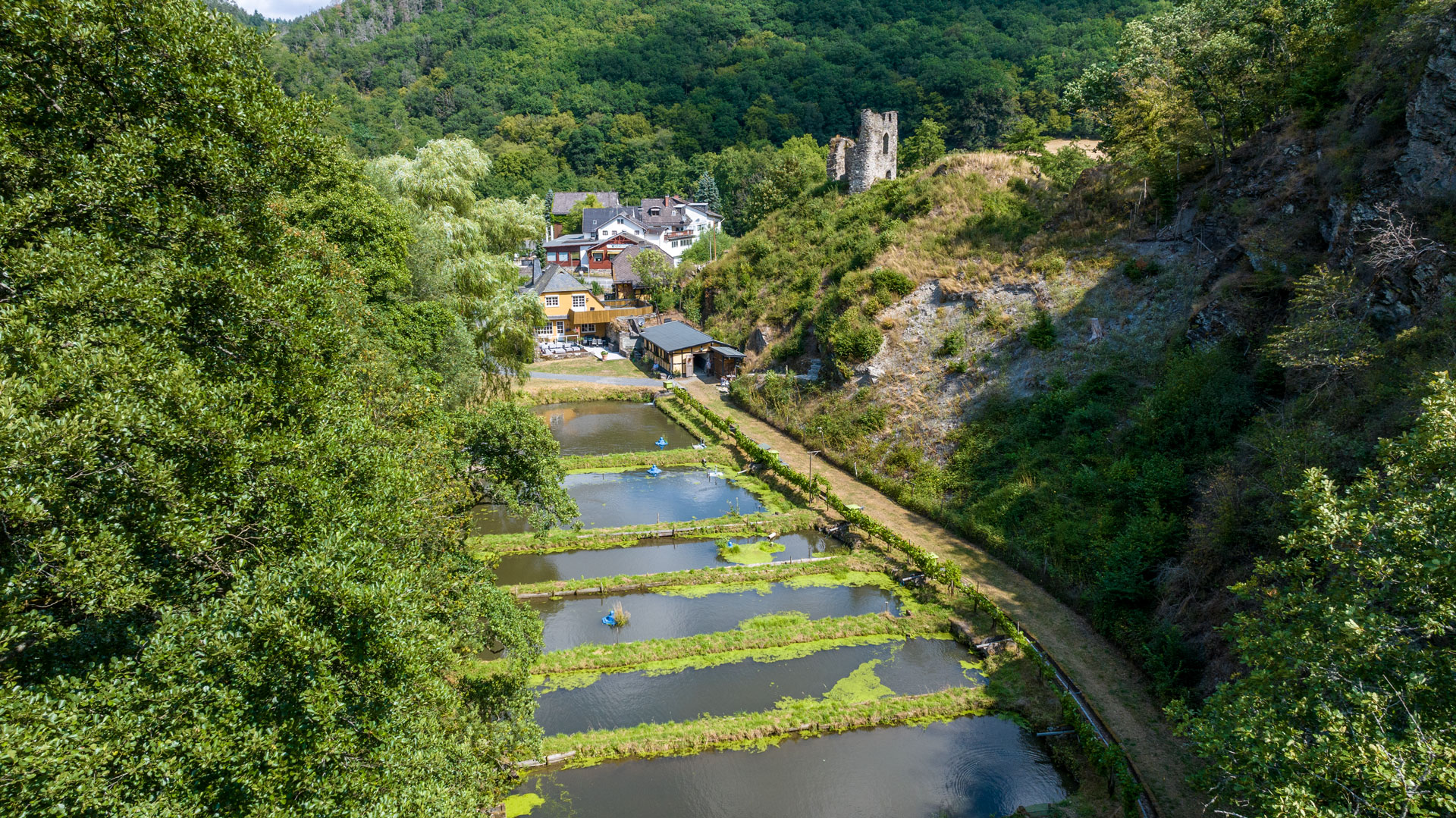 Teiche-und-Laukenmühle